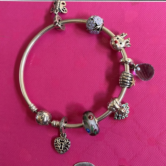 Pandora Bangle Bracelet with 8 charms - Picture 4 of 5